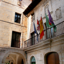 Casa Palacio De Los Soto Guzmán
